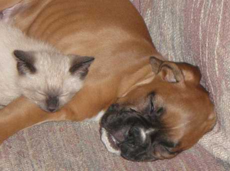 cash and tess again