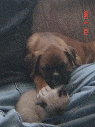 cash and tess