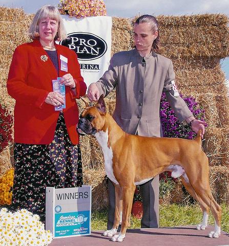 Cash Winners Dog