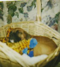 Cashious' 1st day home