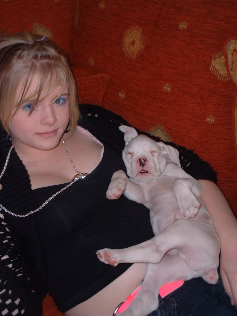 Casper sparko Zzzzzz