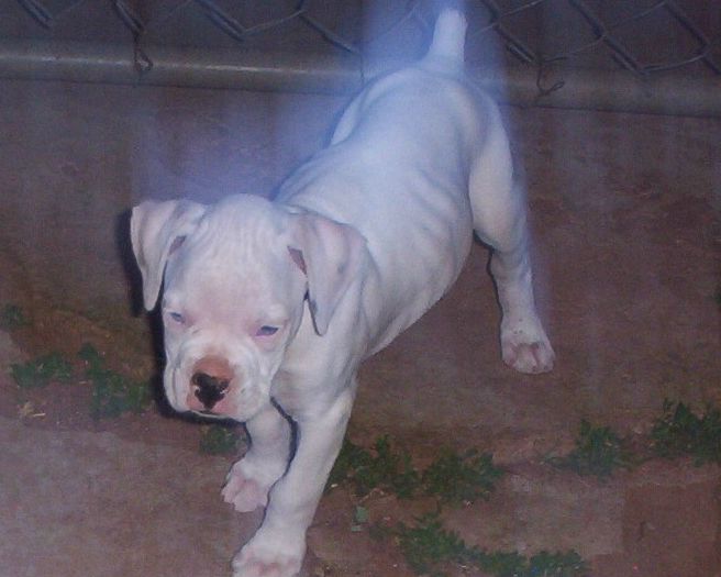 casper_up_close