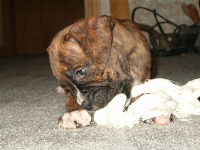 Cassius 1st day home 7 weeks