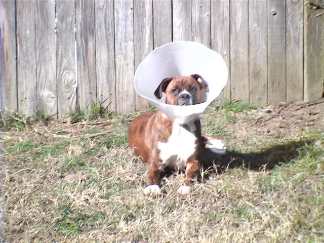 CASSIUS-6 MONTHS-RECOVERING