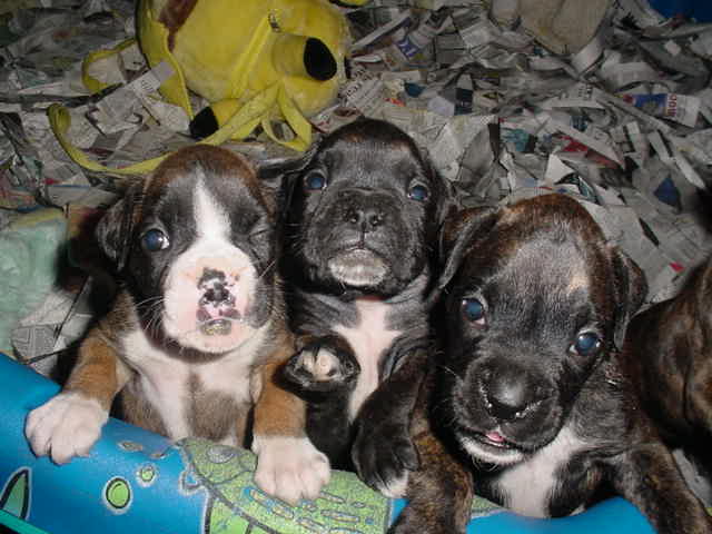 Cassius & Family!