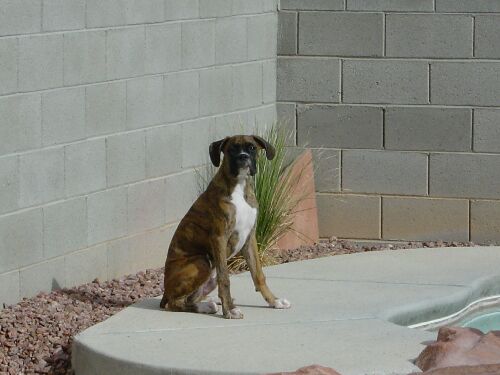cassius gettin some sun