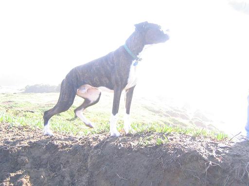 Cassius in the spot light
