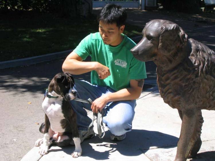 Cassius meets the large dog statue - 5 months
