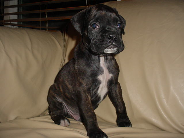 Cassius Picks!