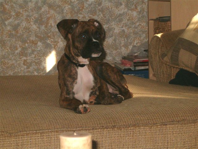 Cassius posing 4 months