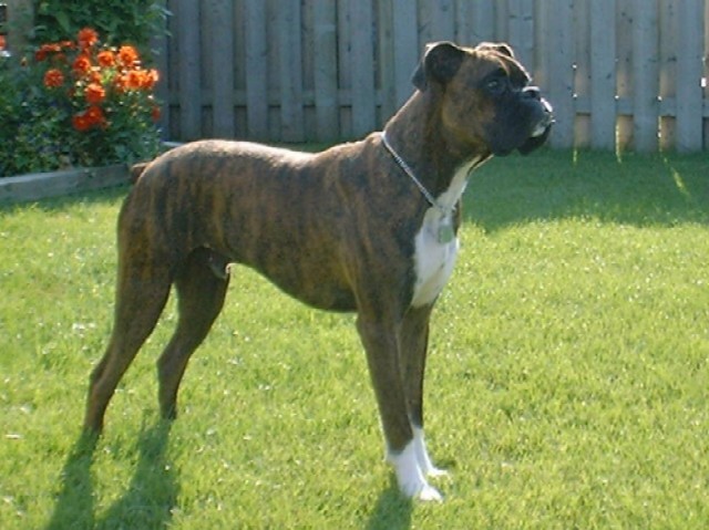 Cassius Posing