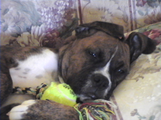 CASSIUS-SLEEPING BABY