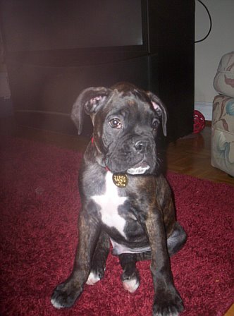 Cassius!