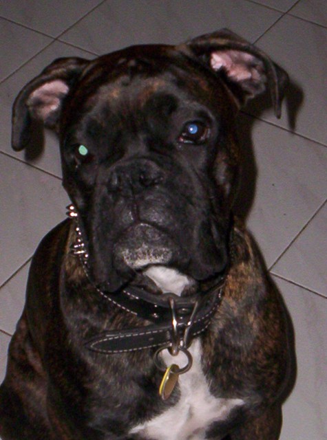 Cassius!
