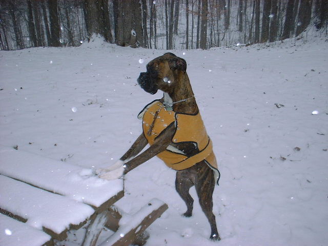 Cassius_posing
