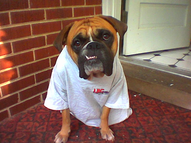 Cassius_Shirt