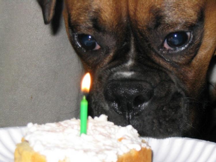 Cassius's first birthday