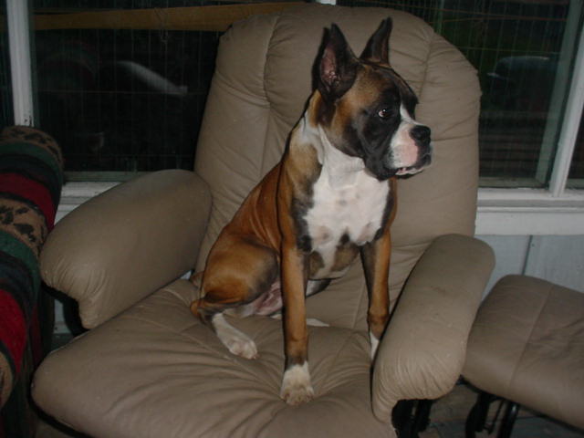 Cassius's Sister Nancy!