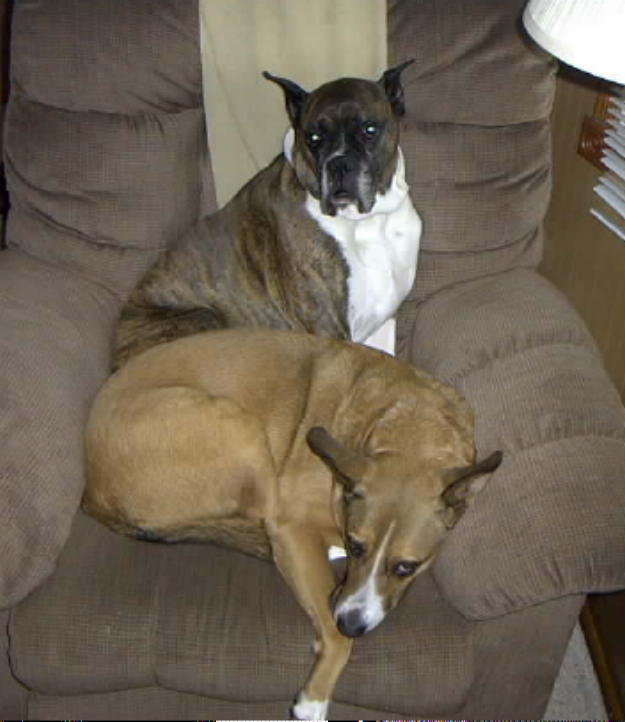 Casy & Tazz 1-06