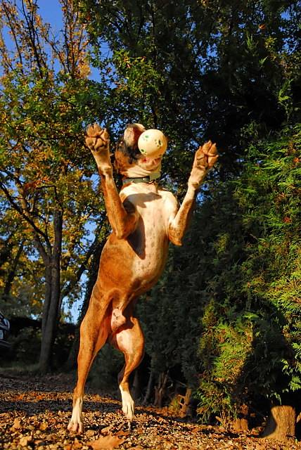 Catch it!
