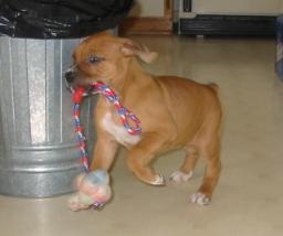 catch me if you can!!!