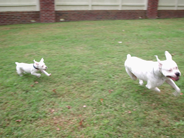 Catch me if you can !!