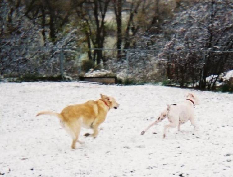 Catch Me if You Can!