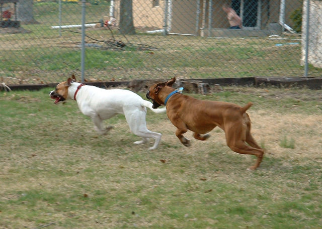 Catch me!