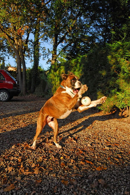 Catch!