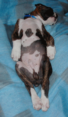 Catchin' some Zzzzz's