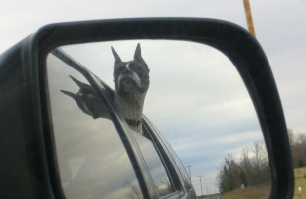 Catching a Breeze