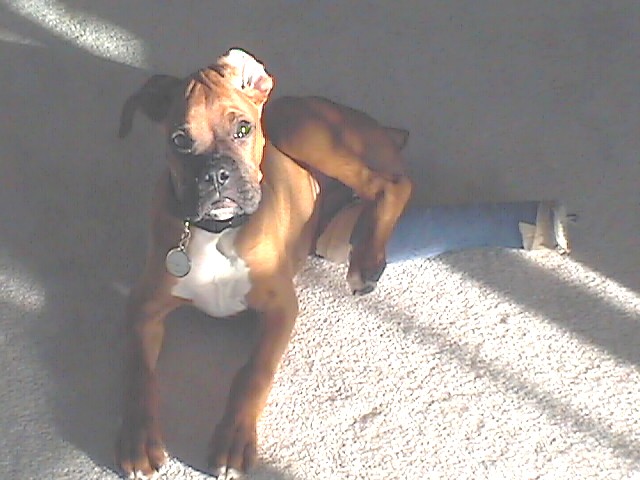 Catching some rays!