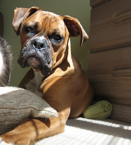 Catching some rays