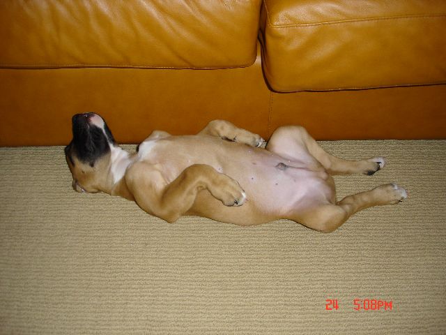 Catching some ZZZZZZ's