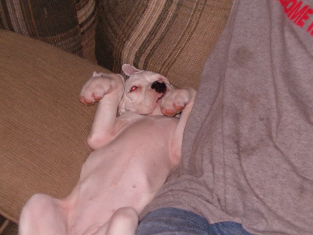 catching some zzzzzzzz