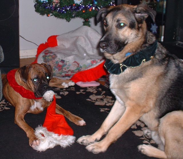 Caught in the act....
