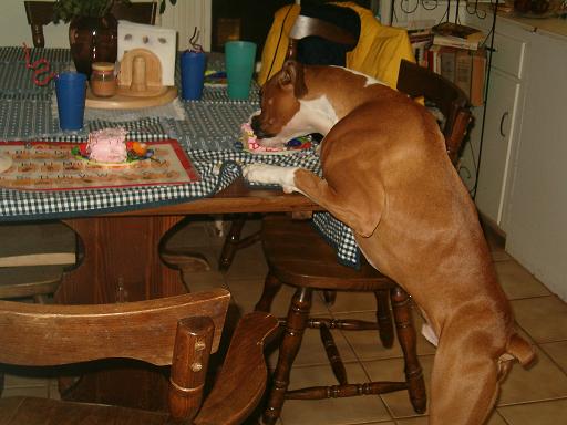 Caught in the act!