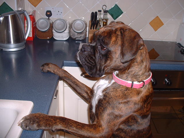 Caught in the act