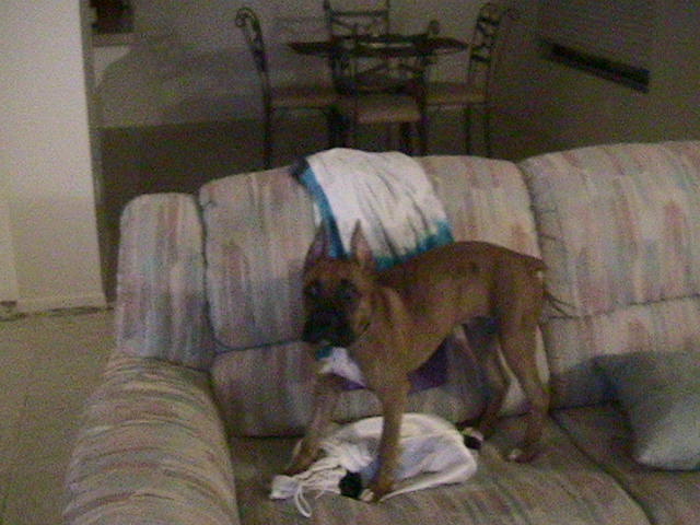 caught taking my clothes out of the hamper