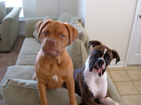 Cayman and Olivia