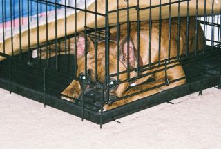 Cell dog
