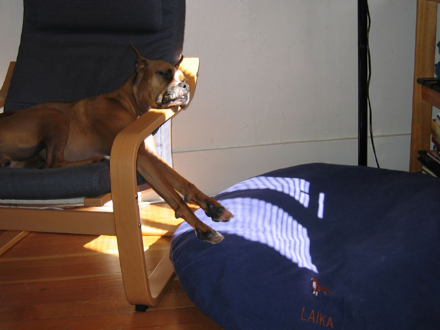 Chair-off limits!