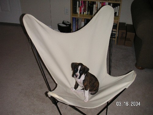 chair2