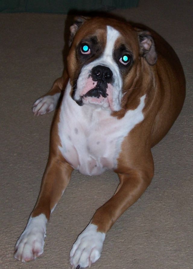 Champ 1/9/05