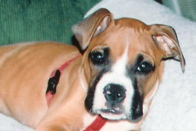 CHAMP AT 12 WEEKS