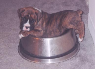 Champ_4