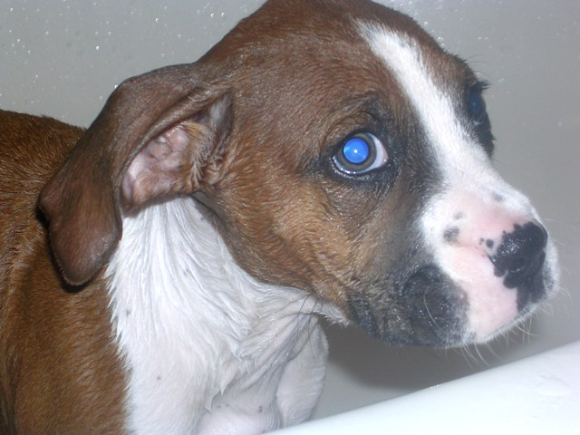 Champs First Bath
