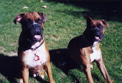Chance and Cayenne