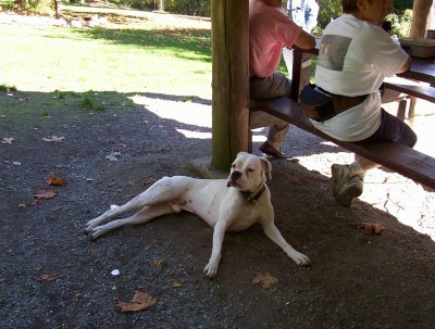 Chance_resting