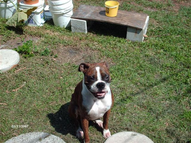 Chance_sitting_pretty